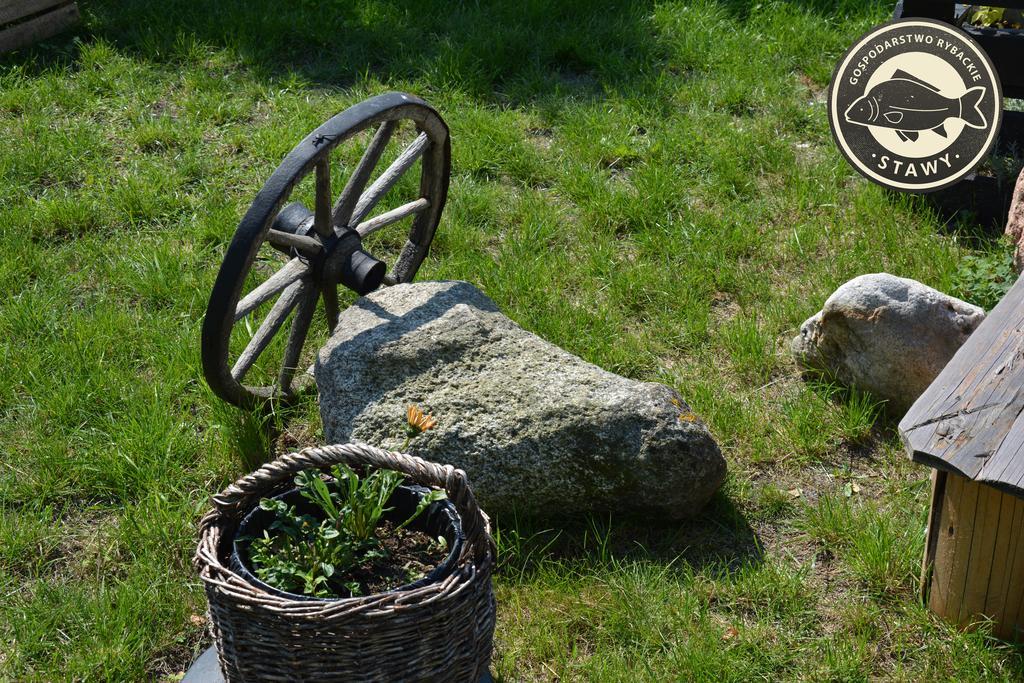 Gospodarstwo Rybackie Stawy Farm stay Imielno (Swietokrzyskie)